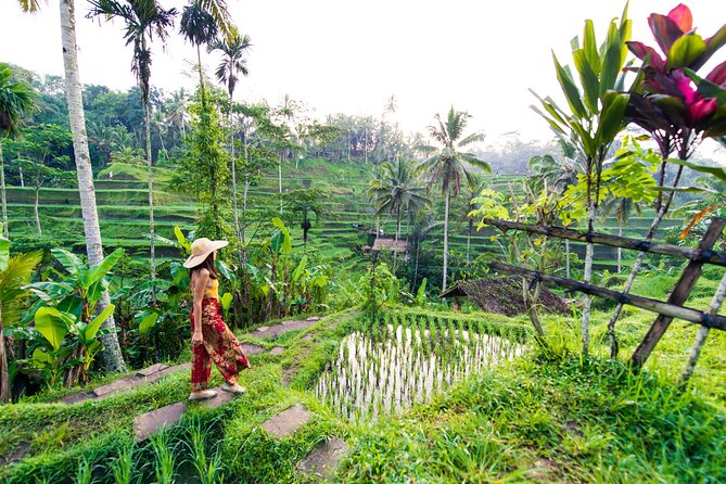 Ubud Iconic Full Day Tour Monkey Forest Rice Terraces Waterfalls - Key points to know before booking