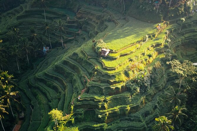 Ubud Iconic Full Day Tour Monkey Forest Rice Terraces Waterfalls - Tegenungan Waterfall closes the day