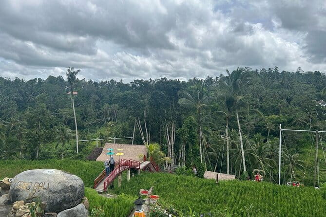 Ubud Private Tour From Cruise Port Benoa Bali All Inclusive - The guide-driver is central to the experience