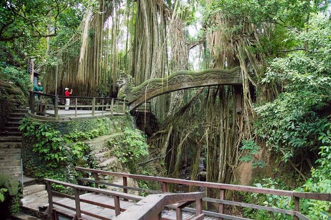Ubud Sacred Monkey Forest & Art Village Tour - Inside the Sacred Monkey Forest