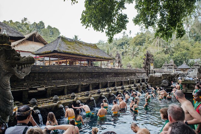 Ubud Small Group Tour: Monkey Forest, Tegalalang Rice Terraces and more - Why this Ubud tour works for a short Bali stay