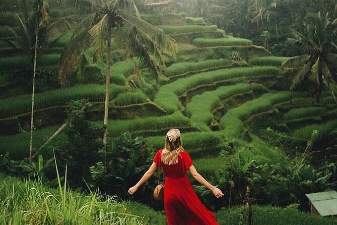 Ubud: Swing - Monkey Forest - Waterfall - Temple - Rice Terraces - Art Crafts - Tegenungan Waterfall gives you a quick jungle hit