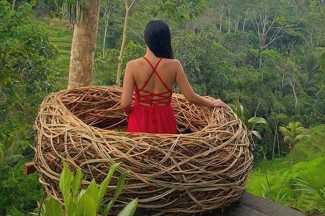 Ubud: Swing - Monkey Forest - Waterfall - Temple - Rice Terraces - Art Crafts - Tirta Empul explains Bali’s living spiritual practice