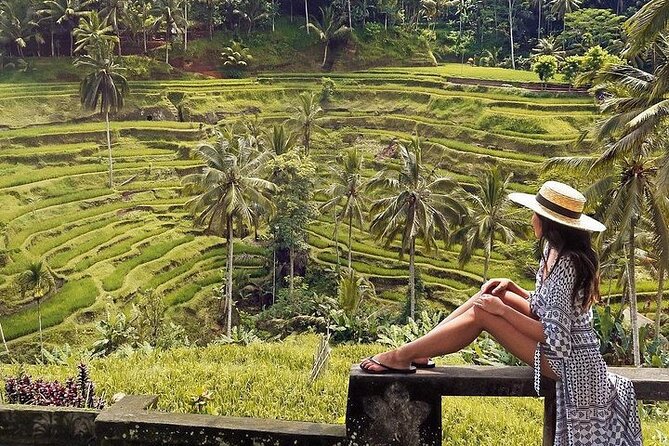 Ubud: Swing - Monkey Forest - Waterfall - Temple - Rice Terraces - Art Crafts - The $33 price is good, with important extras