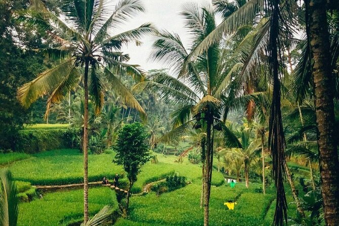 Ubud Temples, Waterfalls, Rice Terraces & Balinese Culture - Seeing the Tegalalang Rice Terrace