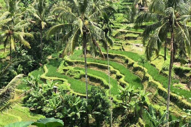 Ubud Temples, Waterfalls, Rice Terraces & Balinese Culture - How the guides shape the day