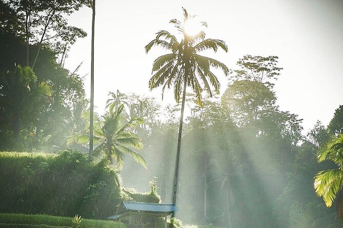 Ubud Temples, Waterfalls, Rice Terraces & Balinese Culture - What the $35 price really covers