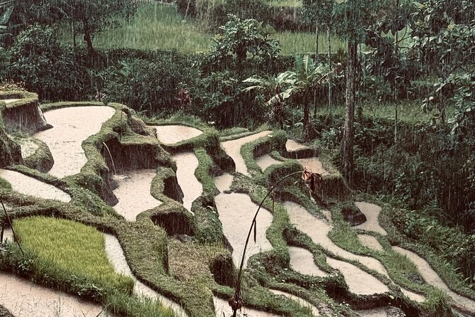 Ubud Top Tours to Discover Bali’s Cultural and Natural Wonders - Key points at a glance