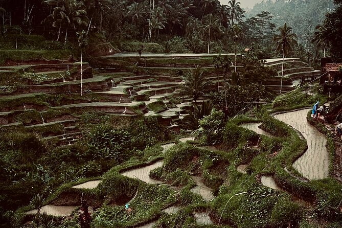 Ubud Top Tours to Discover Bali’s Cultural and Natural Wonders - A full day built around Ubud’s contrasts