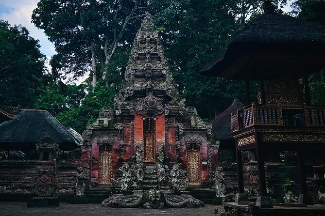 Ubud Top Tours to Discover Bali’s Cultural and Natural Wonders - Monkey Forest, where nature and temple life share the path