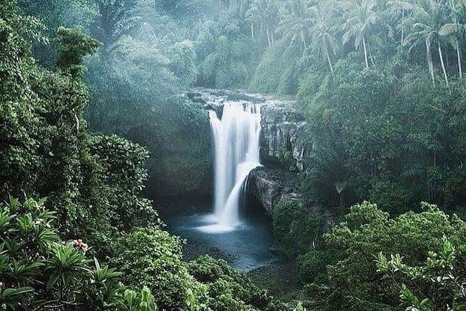 Ubud Top Tours to Discover Bali’s Cultural and Natural Wonders - Pakudui Village and the Tegalalang rice terraces