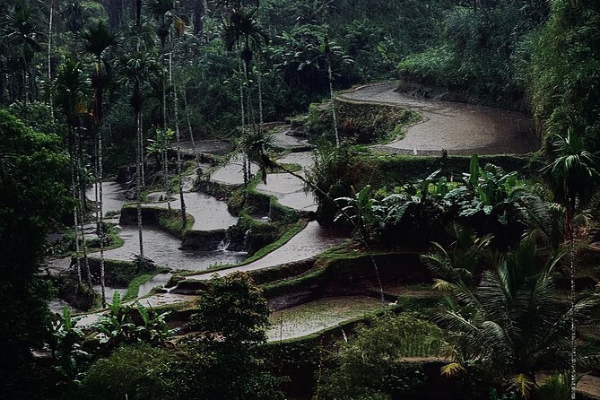 Ubud Top Tours to Discover Bali’s Cultural and Natural Wonders - Tirta Empul, the day’s most meaningful stop