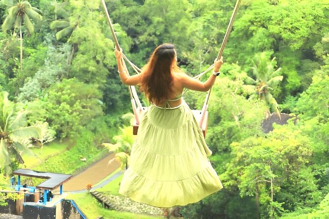 Ubud Tour with Jungle Swing and Waterfall Water Temple - Starting with the Real Bali Swing