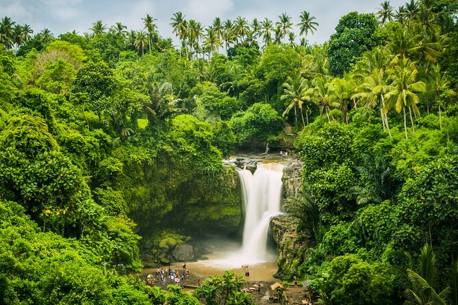 Ubud waterfall, rice terraces, and swing explore - The Ubud jungle swing: the expensive add-on