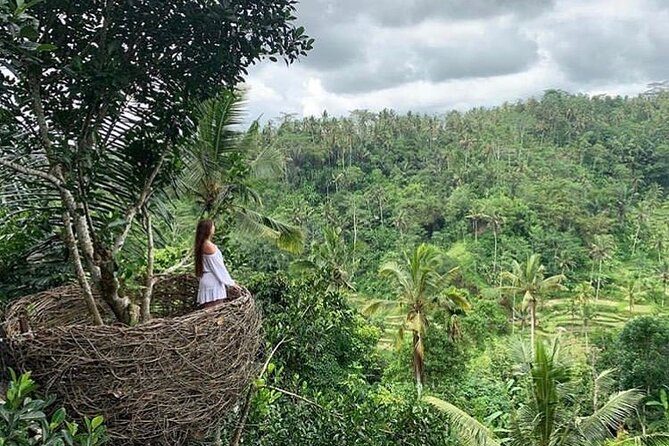Ubud waterfall, rice terraces, and swing explore - A look at Balinese coffee