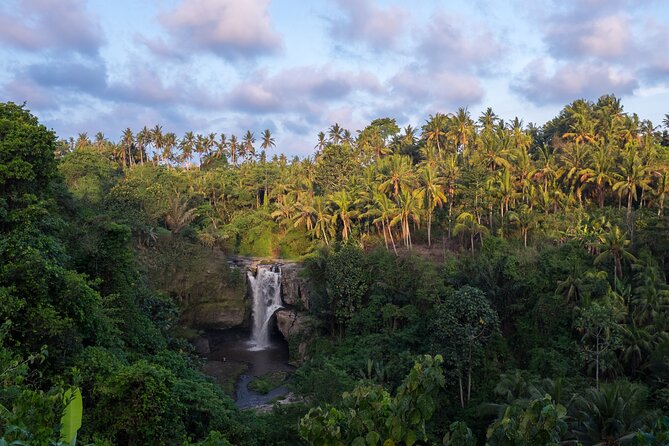 Ubud waterfall, rice terraces, and swing explore - Why the private car matters in Bali