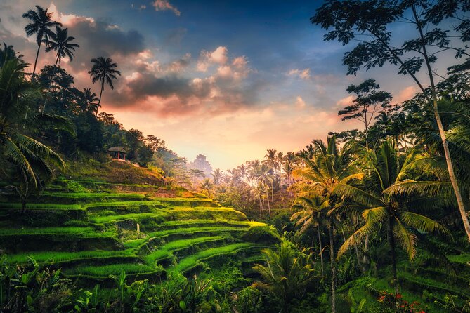Ubud waterfall, rice terraces, and swing explore - Tegenungan Waterfall: a cool first stop