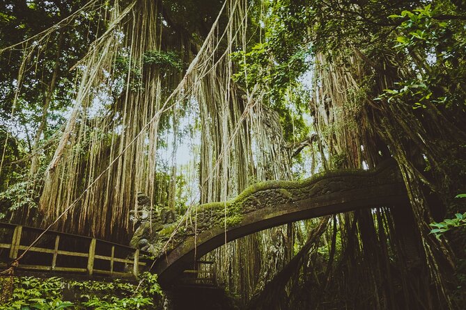 Ultimate Ubud Experience All Inclusive Private Day Tour - Tegalalang Rice Terrace and the subak tradition