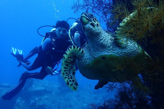 USS Liberty Shipwreck Scuba Diving at Tulamben Bali - The 8:00 a.m. pickup from Nusa Dua