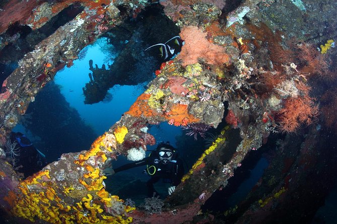 USS Liberty Shipwreck Scuba Diving at Tulamben Bali - What the instruction is really like