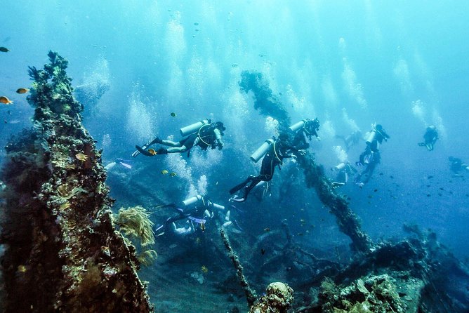USS Liberty Shipwreck Scuba Diving at Tulamben Bali - Is the $109.50 price good value?