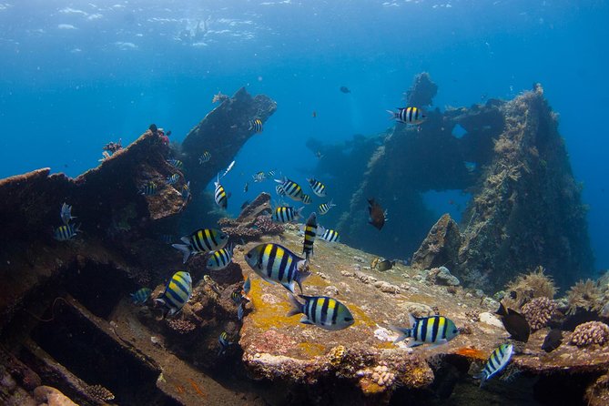 USS Liberty Shipwreck Scuba Diving at Tulamben Bali - Getting ready at Tulamben beach
